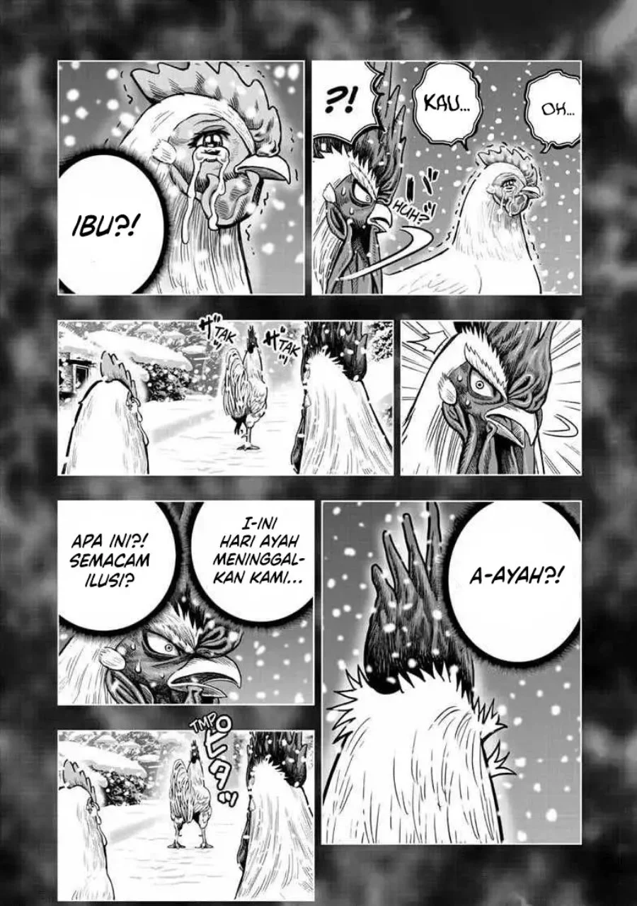 Rooster Fighter Chapter 56 Gambar 17