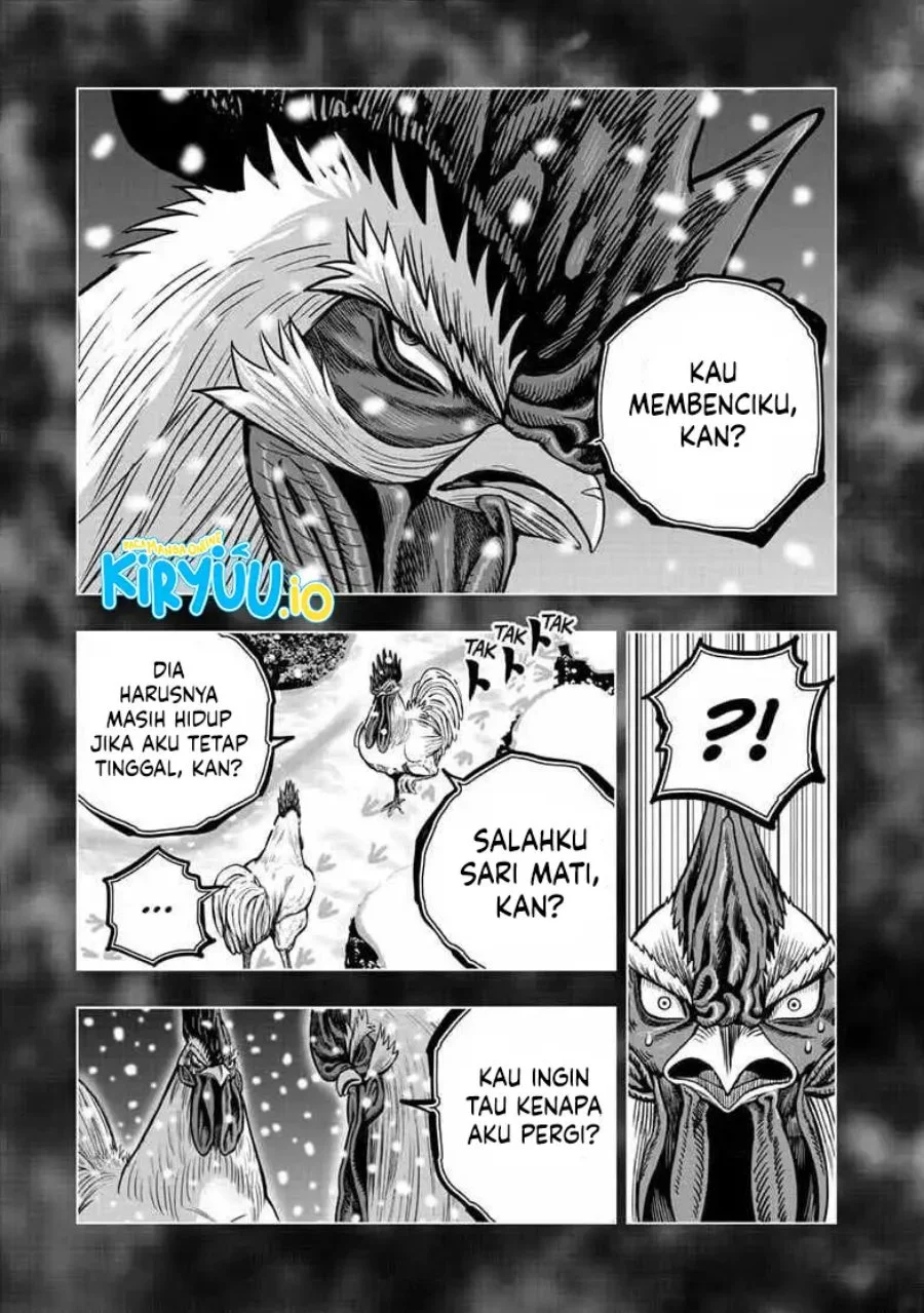 Rooster Fighter Chapter 56 Gambar 18