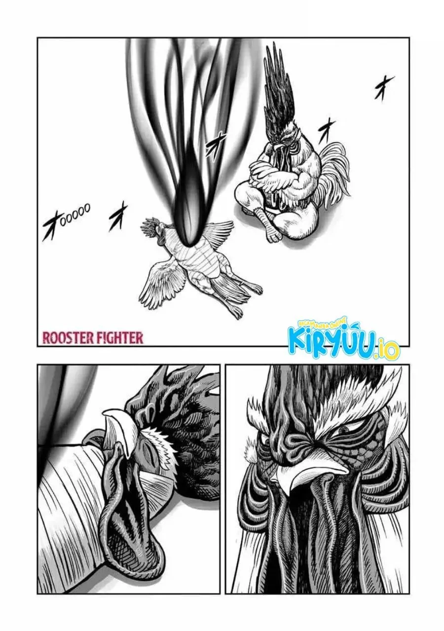 Manga Rooster Fighter Chapter 56 gambar 2