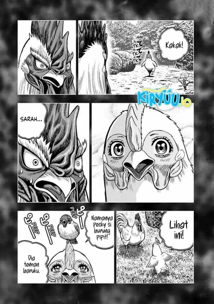 Rooster Fighter Chapter 56 Gambar 22