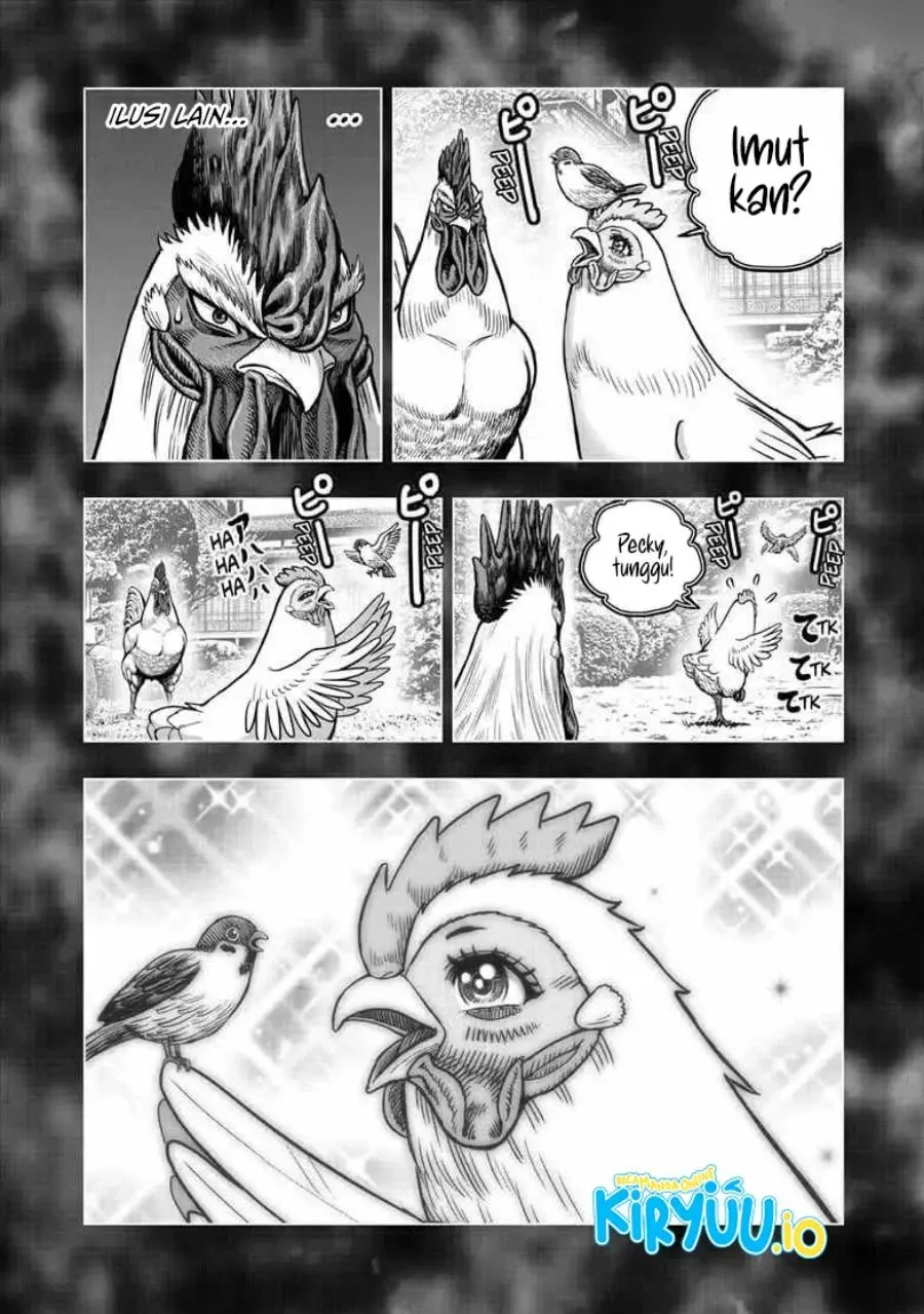 Rooster Fighter Chapter 56 Gambar 23