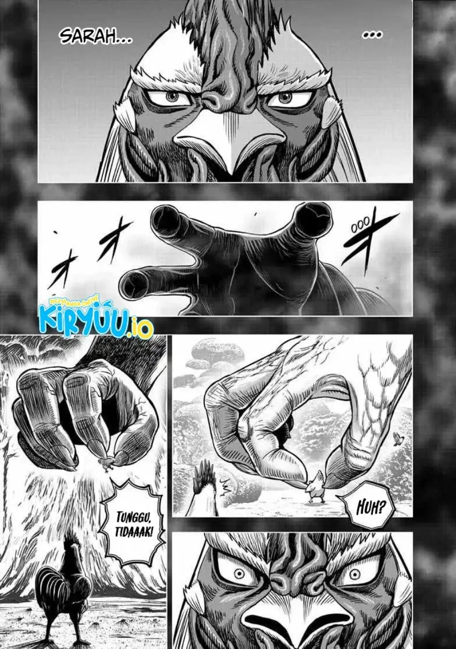 Rooster Fighter Chapter 56 Gambar 24