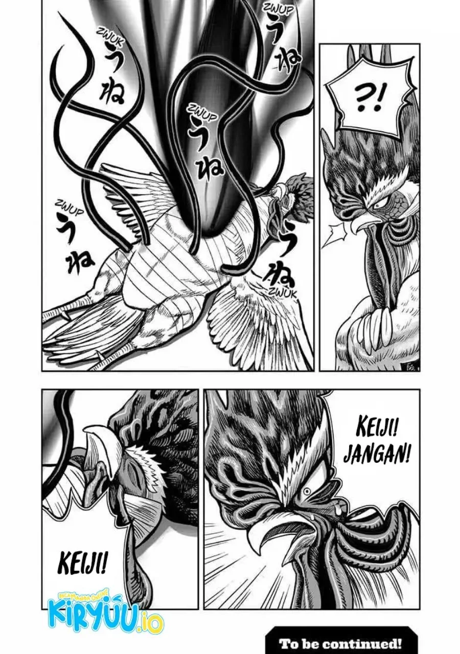 Rooster Fighter Chapter 56 Gambar 33