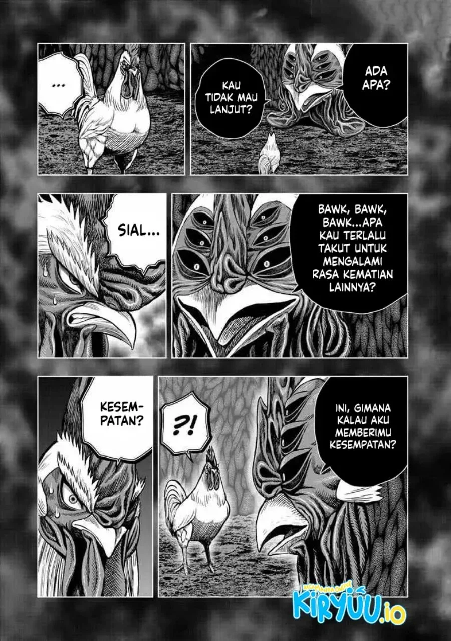 Rooster Fighter Chapter 56 Gambar 4