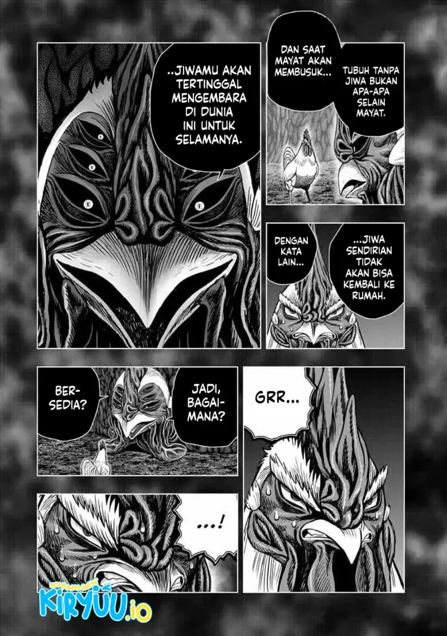 Rooster Fighter Chapter 56 Gambar 6