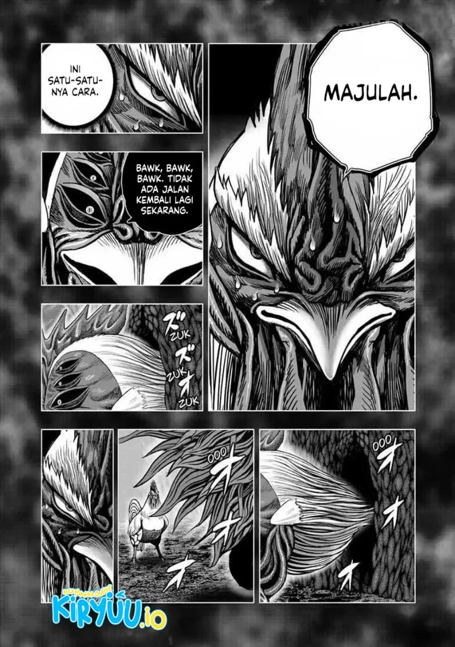 Rooster Fighter Chapter 56 Gambar 7
