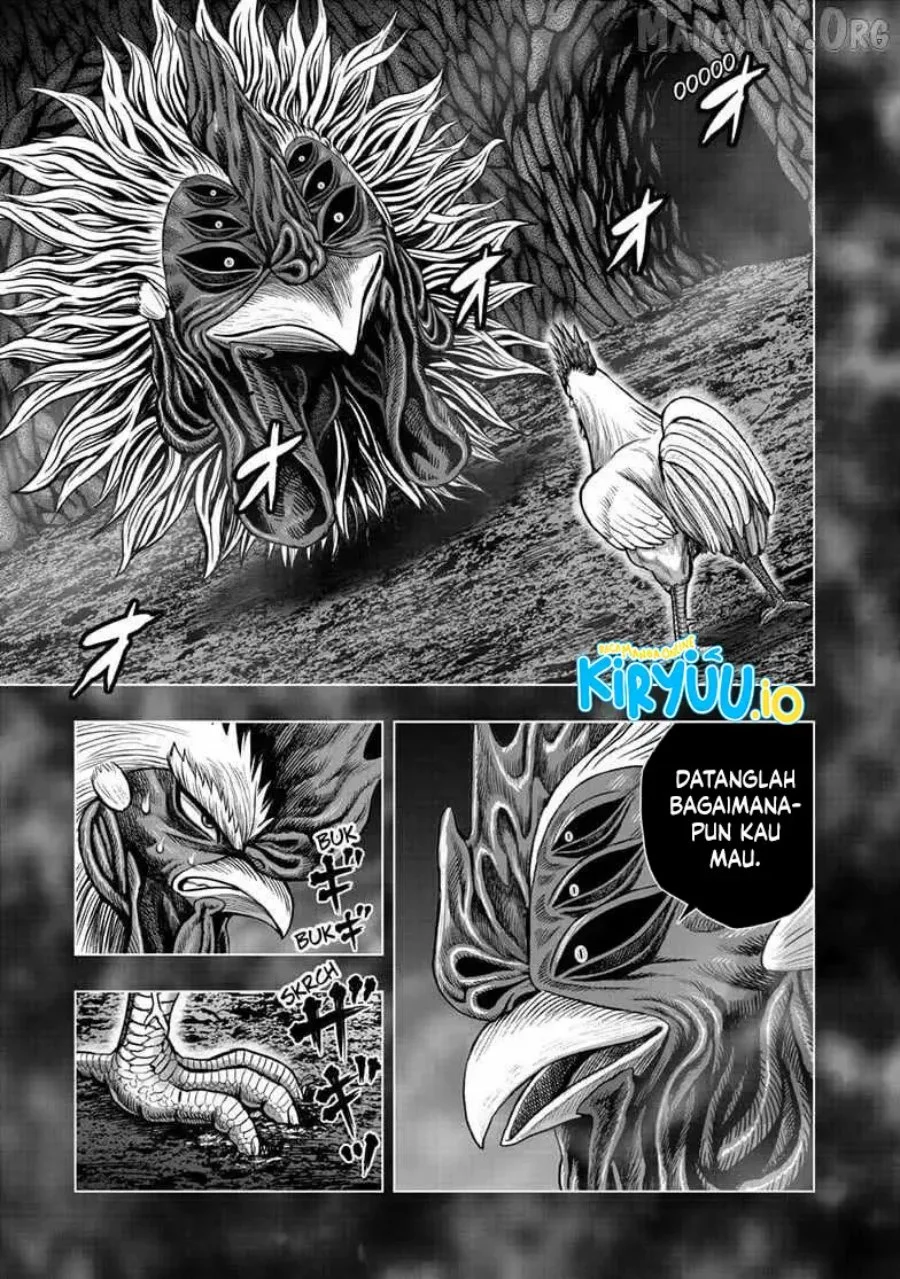 Rooster Fighter Chapter 56 Gambar 8