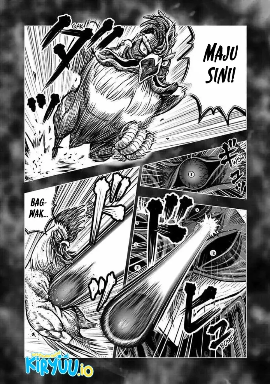 Rooster Fighter Chapter 56 Gambar 9