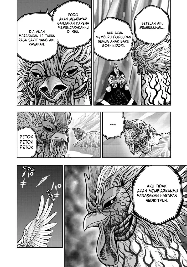 Rooster Fighter Chapter 58 Gambar 17
