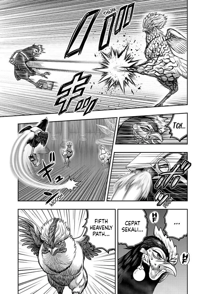 Rooster Fighter Chapter 58 Gambar 4