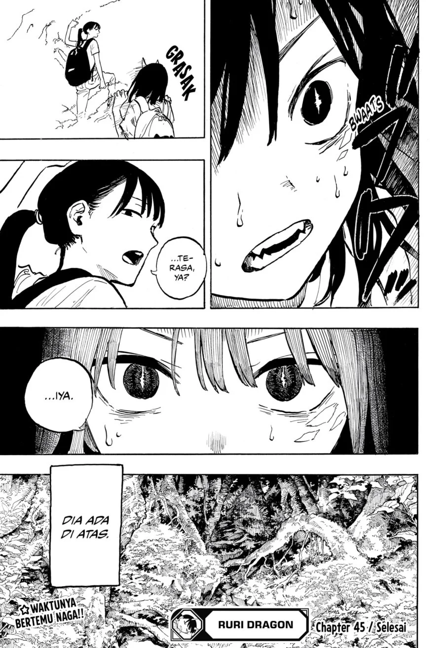 Ruri Dragon Chapter 45 Gambar 19