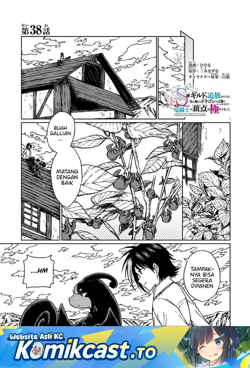 Komik S-kyuu Guild wo Tsuihou saretakedo, Jitsu wa Ore dake Dragon no Kotoba ga Wakaru no de, Kidzuita Toki ni wa Ryuu Kishi no Chouten wo Kiwametemashita Chapter 38 gambar nomor 1