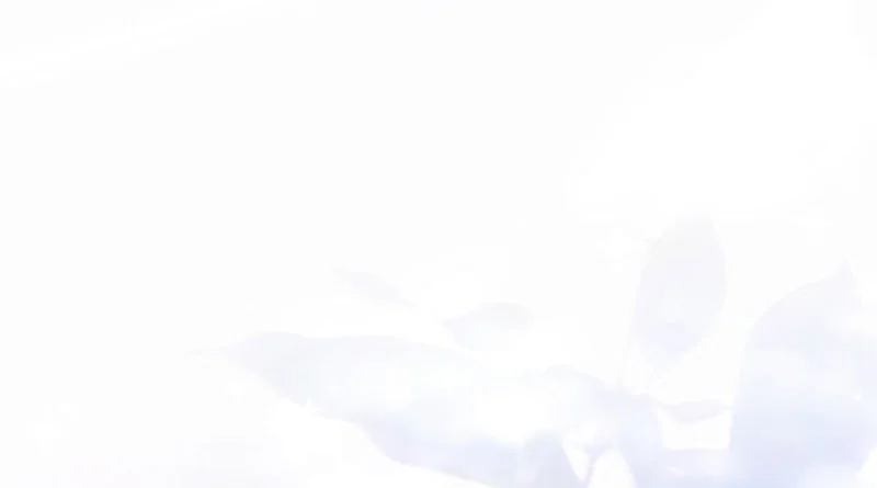 Second Life Ranker Chapter 219 Gambar 9