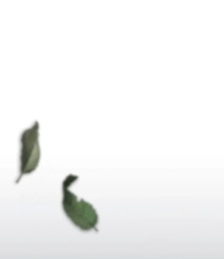 Shamoneyism Chapter 32 Gambar 44