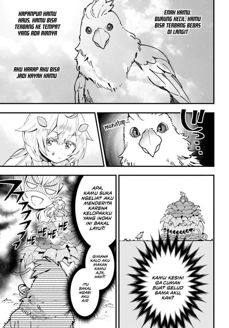 Shokubutsu Monster Musume Nikki Chapter 3 Gambar 16