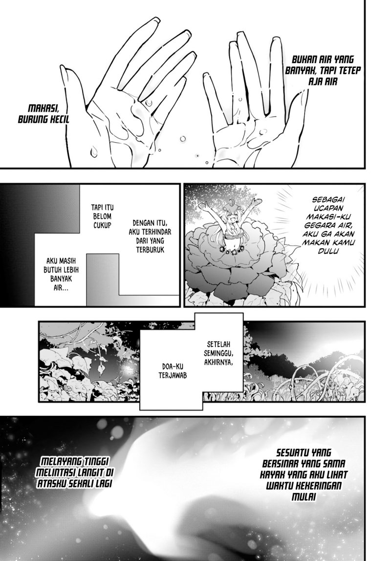 Shokubutsu Monster Musume Nikki Chapter 3 Gambar 18