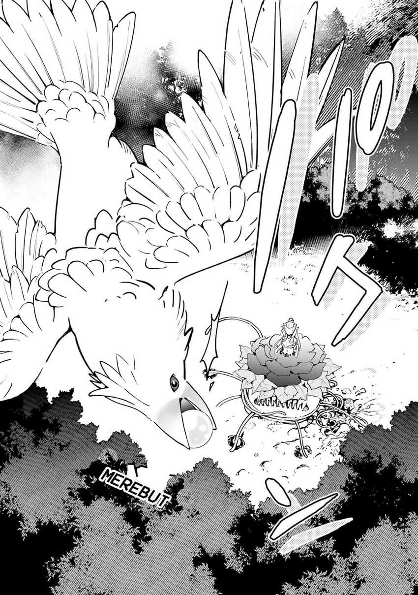 Shokubutsu Monster Musume Nikki Chapter 6 Gambar 22