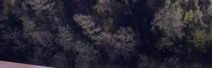 Single Dad in Another World Chapter 40 Gambar 83