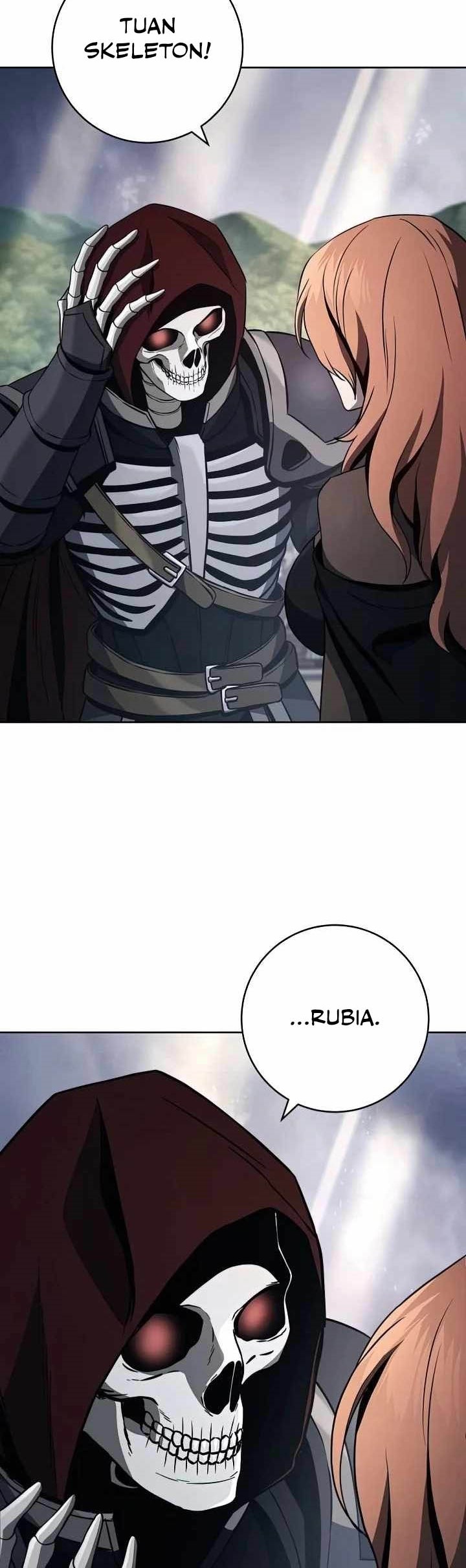 Skeleton Soldier Couldn’t Protect the Dungeon Chapter 266 Gambar 6