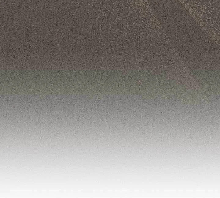 skeleton soldier couldnt protect the dungeon chapter 357 - Page 55