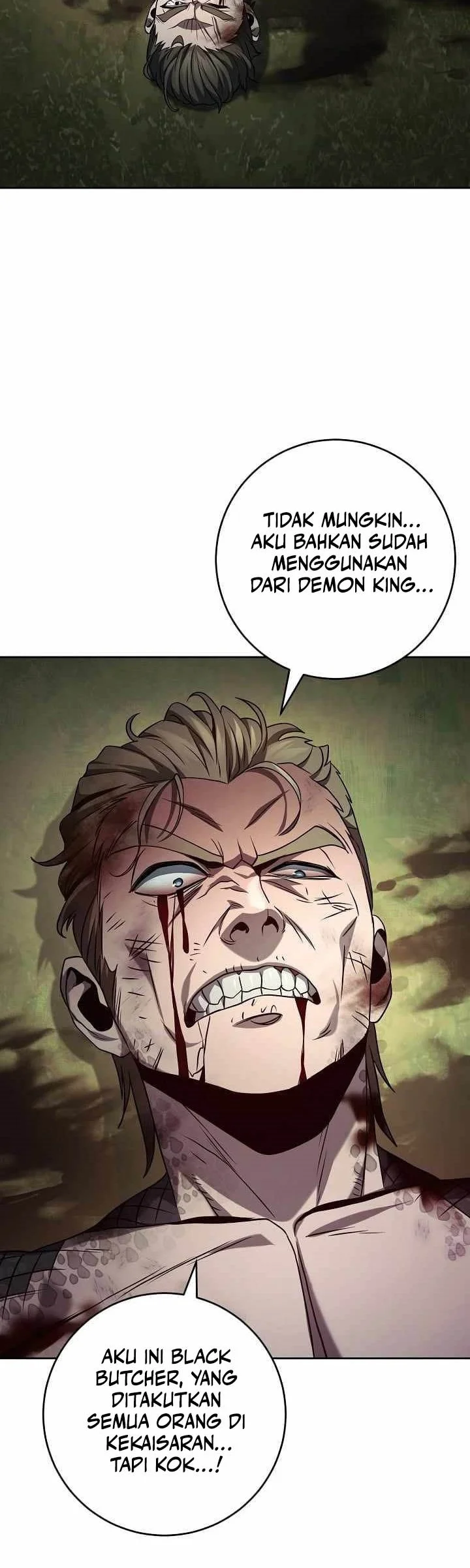 skeleton soldier couldnt protect the dungeon chapter 358 - Page 12