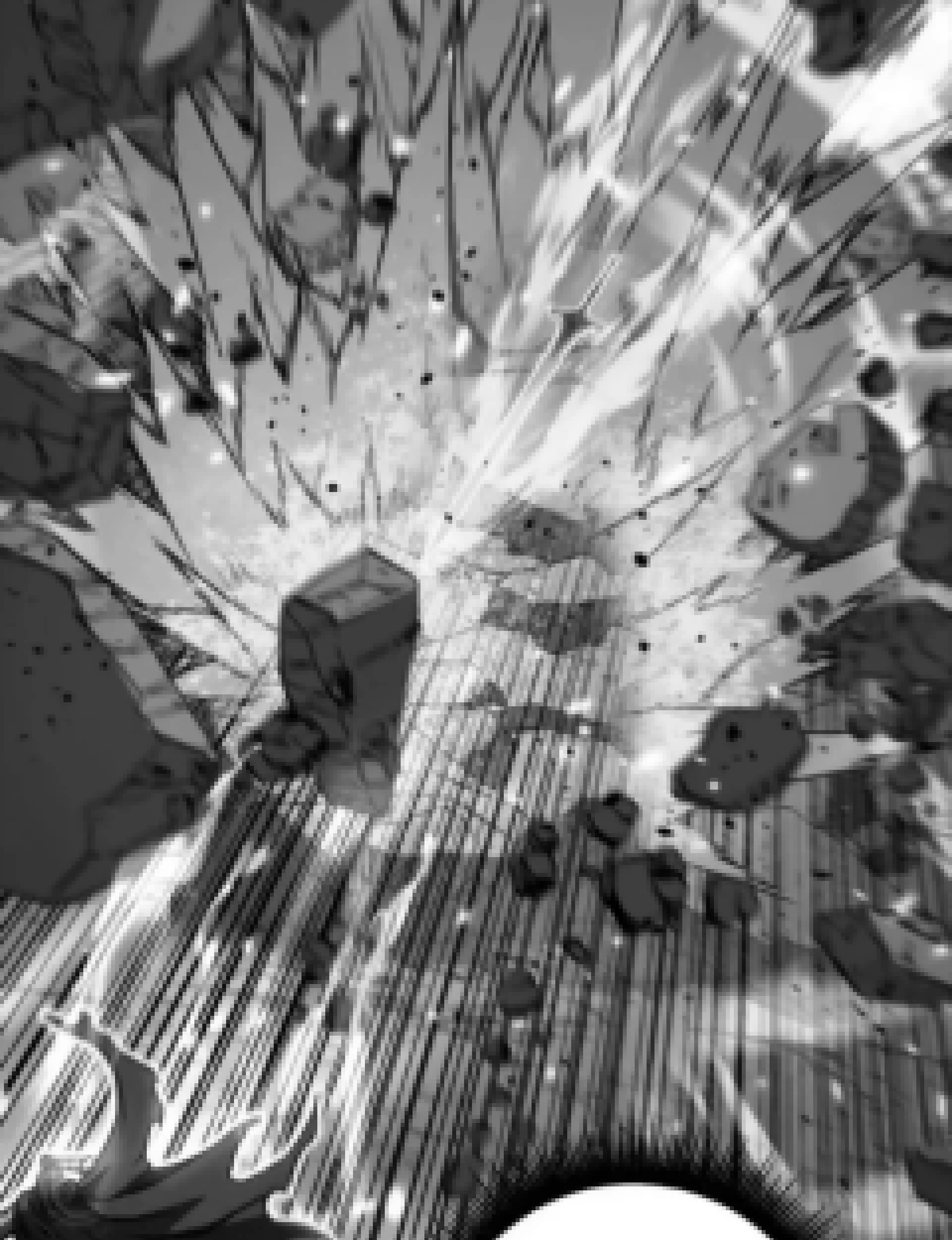 Snake Immortal: The Tale of a Snake’s Cultivation to Immortality Chapter 65 Gambar 40