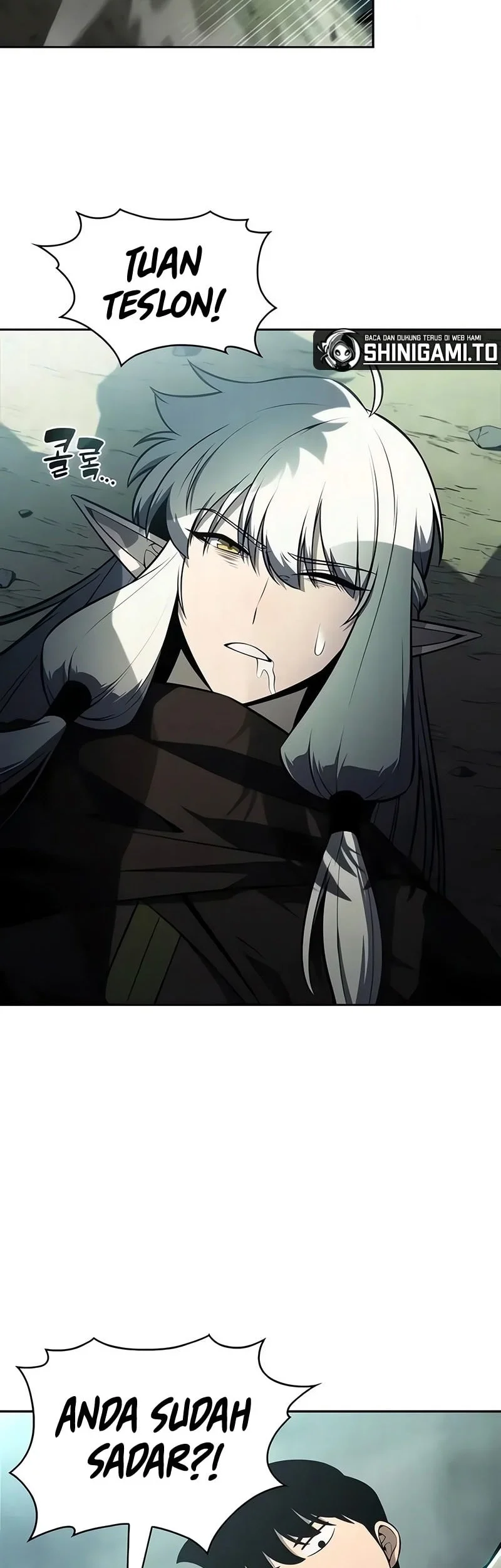 Solo Max-Level Newbie Chapter 255 Gambar 51