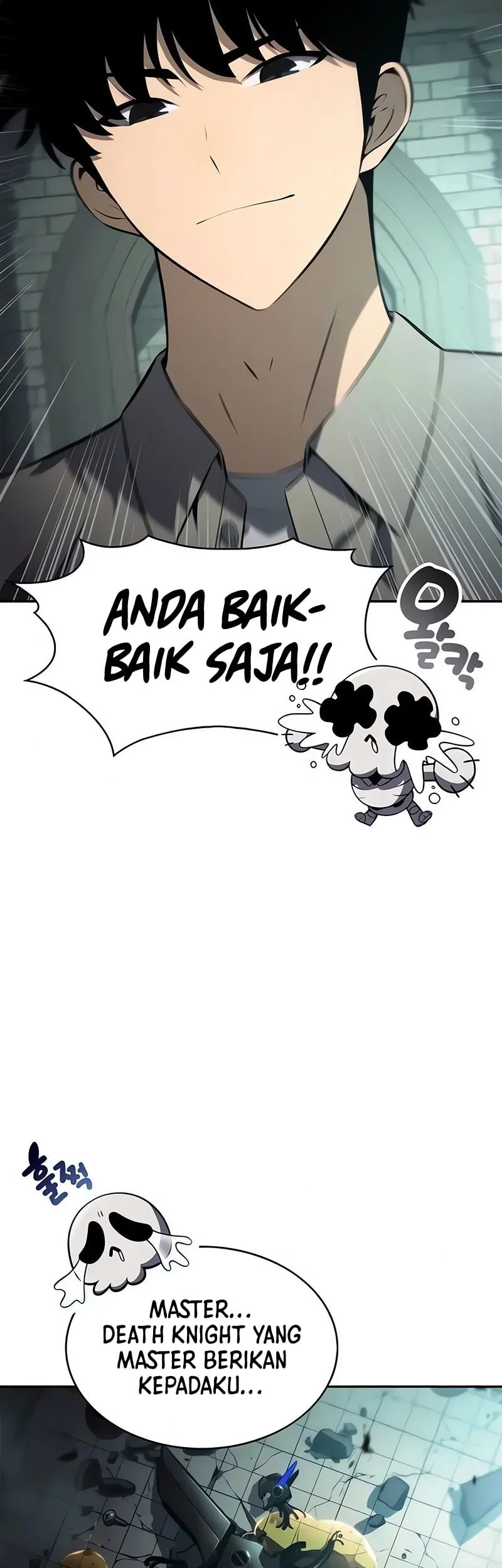 Solo Max-Level Newbie Chapter 255 Gambar 26