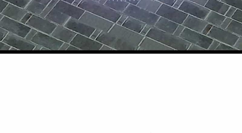 Starting From Maximum Charm Point Chapter 116 Gambar 14