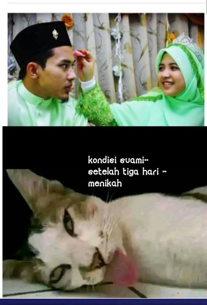 Starting From Maximum Charm Point Chapter 97 Gambar 36