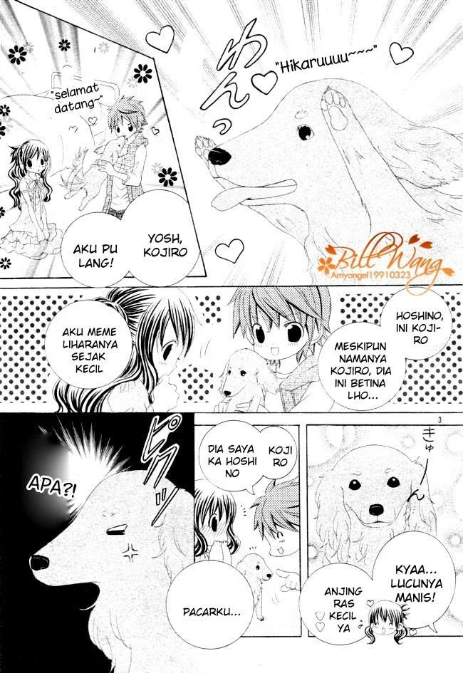 Suki Desu Suzuki-kun!! Chapter 13 Gambar 4
