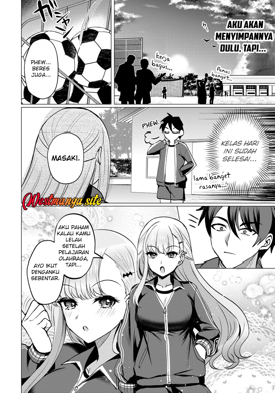 Halaman 17