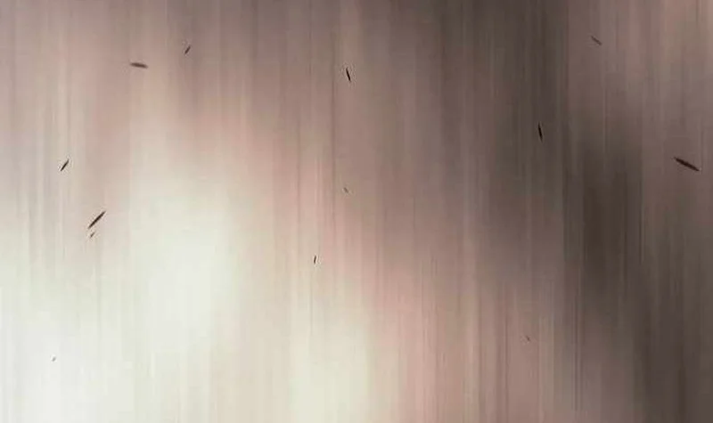 Superhuman Era Chapter 175 Gambar 27