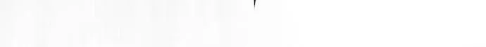 Superhuman Era Chapter 253 Gambar 133