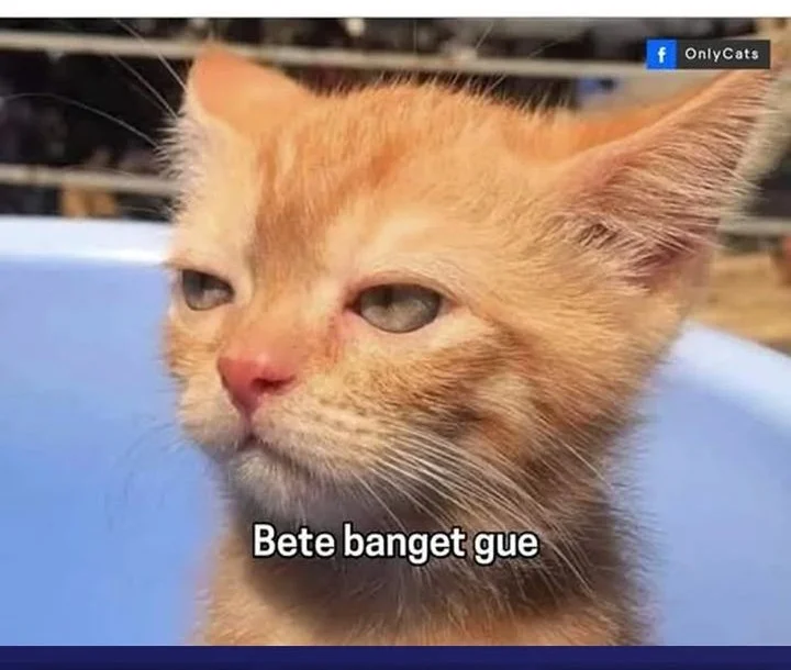 supreme curse master chapter 44 - Page 38