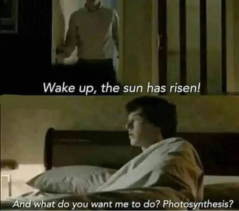 Supreme Curse Master Chapter 60 Gambar 42