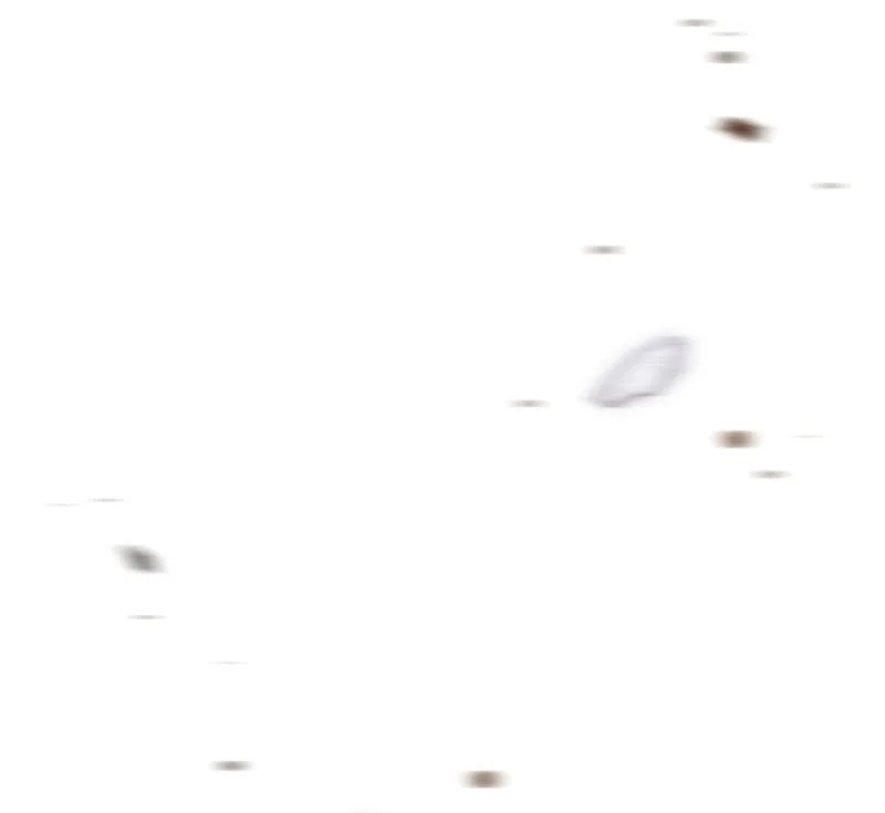 Swordmaster’s Youngest Son Chapter 201 Gambar 71