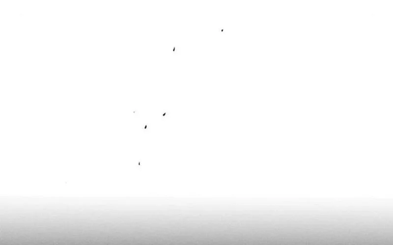 Tears on a Withered Flower Chapter 17 Gambar 60