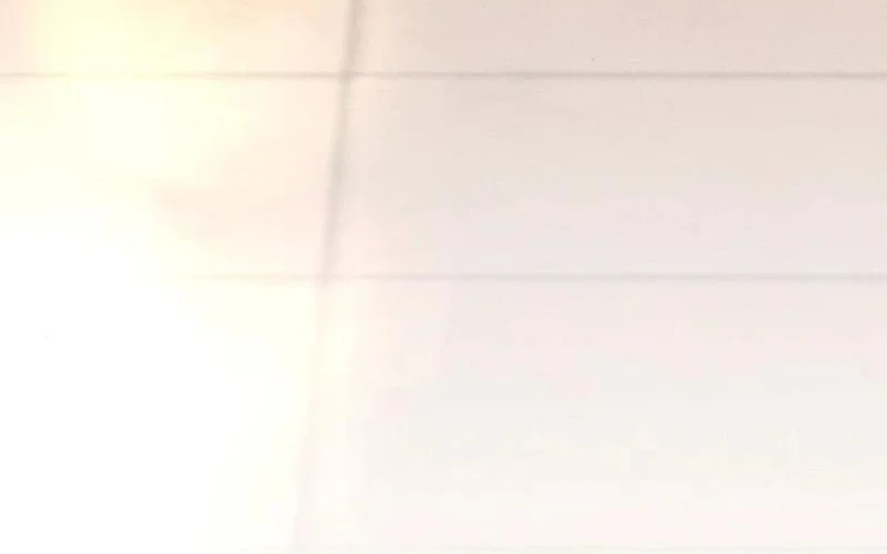 Tears on a Withered Flower Chapter 9 Gambar 20