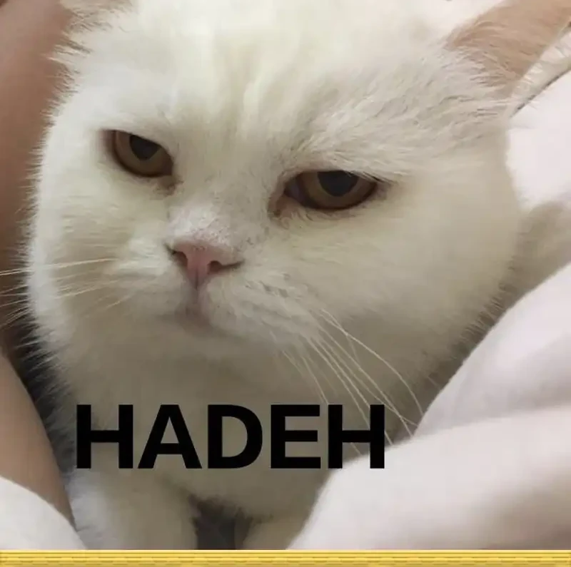 the almighty daughter runs the world chapter 156 - Page 24