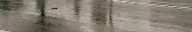 the almighty daughter runs the world chapter 173 - Page 26