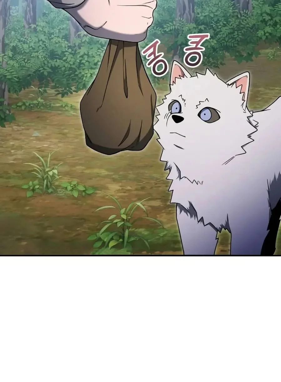 The Apocalypse's Ultimate Veteran Chapter 11 Gambar 34