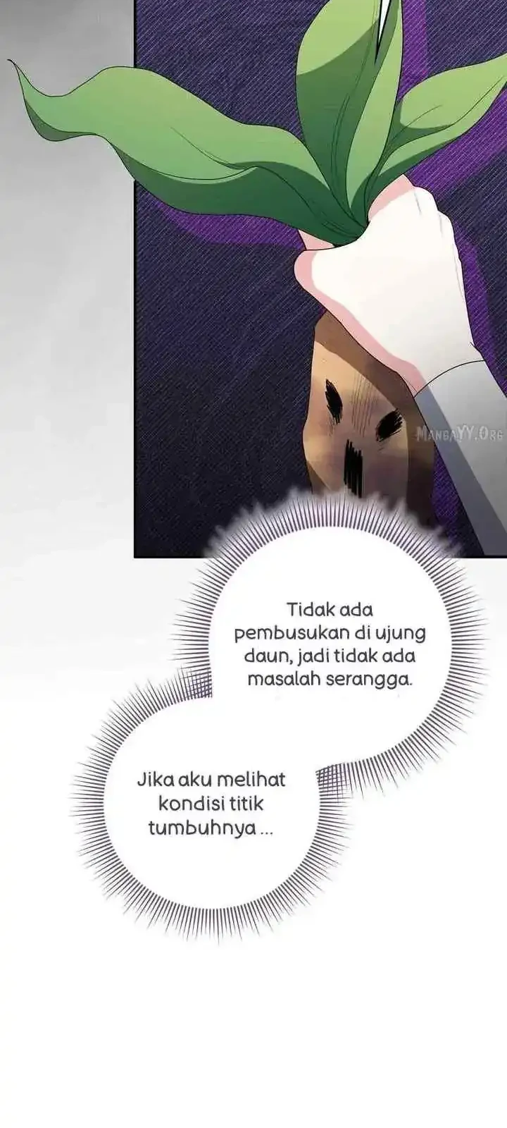 The Beloved Gardener of the World Tree Chapter 36 Gambar 36