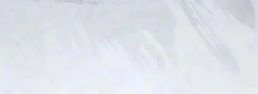 The Corrupt Official Hides the Status Window Chapter 3 Gambar 73