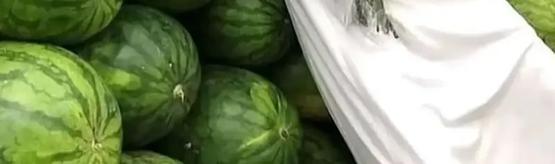 The Delusional Hunter in Another World Chapter 80 Gambar 88