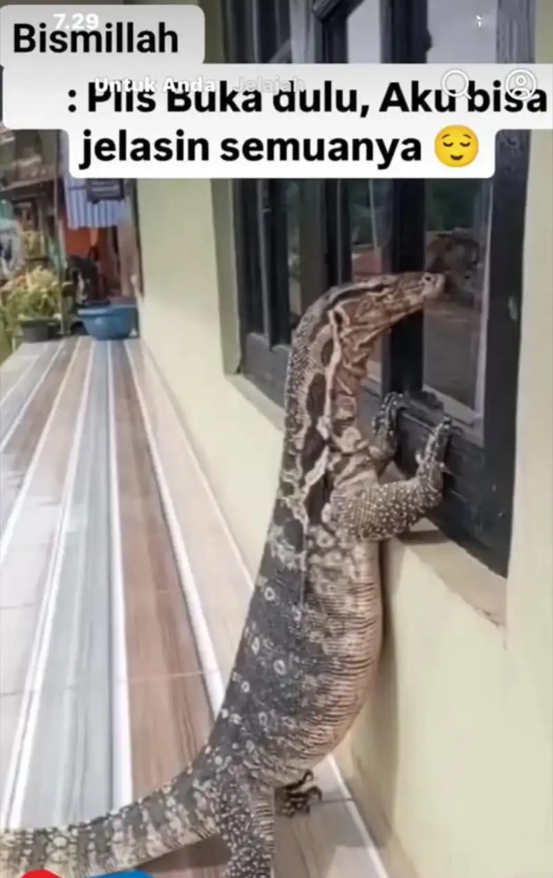 The Evil Alchemist Can’t Handle His Own Experiment Chapter 81 Gambar 86