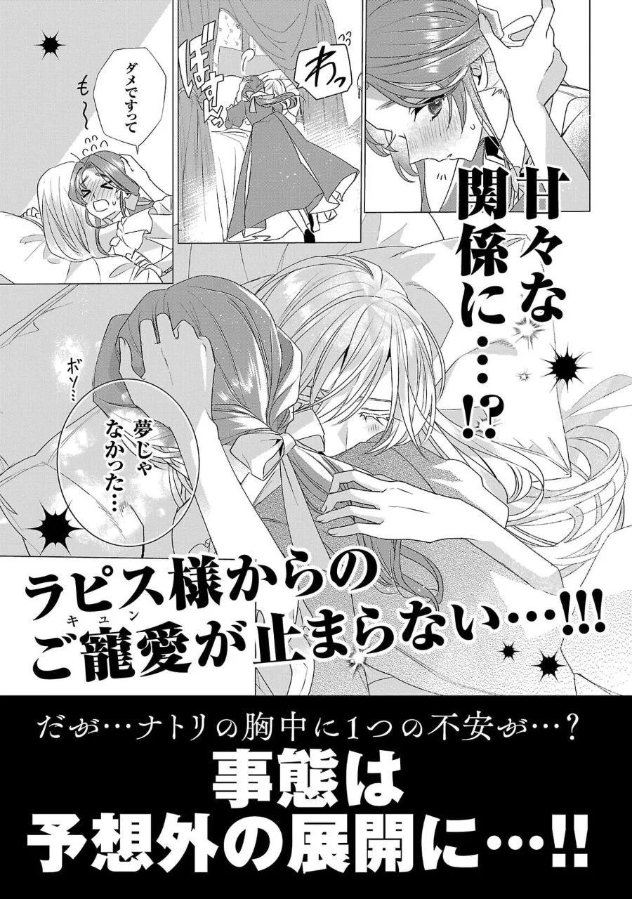 The Fed Up Office Lady Wants to Serve the Villainess Chapter 11.5 Gambar 11
