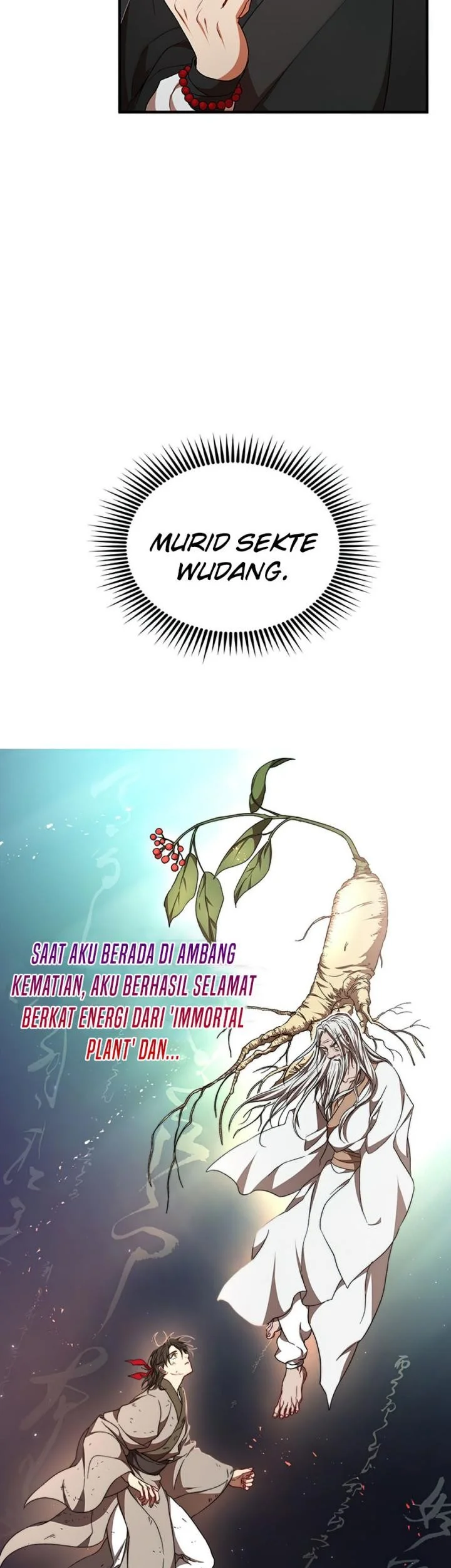 The Grand Wudang Saga Chapter 49 Gambar 19