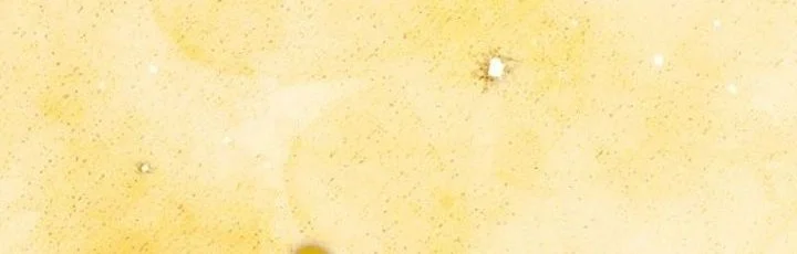 The Magic Theory of the Regressed Sword Saint Chapter 1 Gambar 62