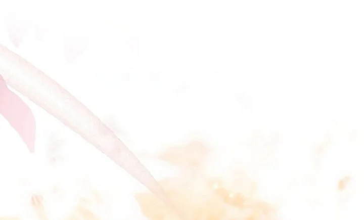 The Male Lead's Little Lion Daughter Chapter 136 Gambar 202